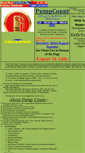 Mobile Screenshot of petrolpumpsoftware.com